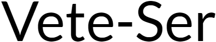 summit-visionpro.xyz
